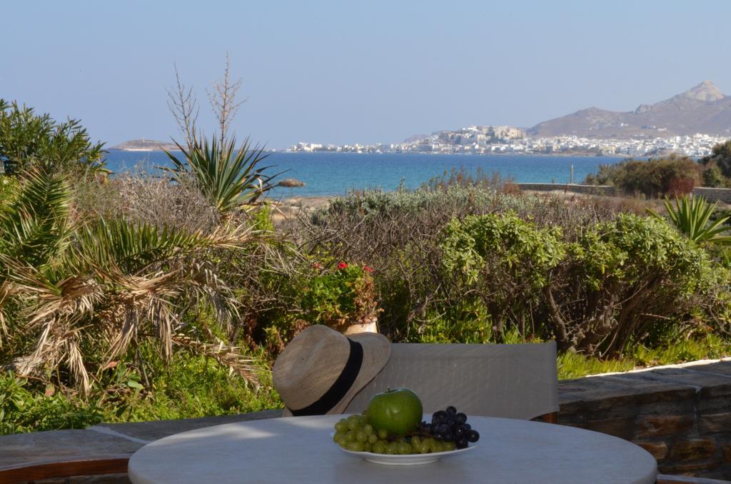 Villa Marandi Luxury Suites Stelida  Rom bilde